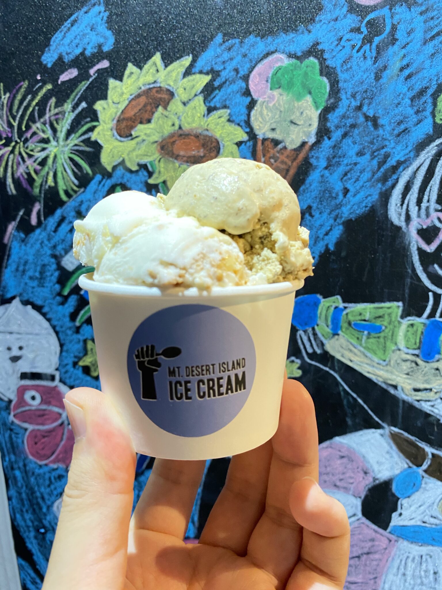 【松本市】縄手通りマウントデザートアイランドアイスクリームでジェラートを楽しむ！ ナガノスペース